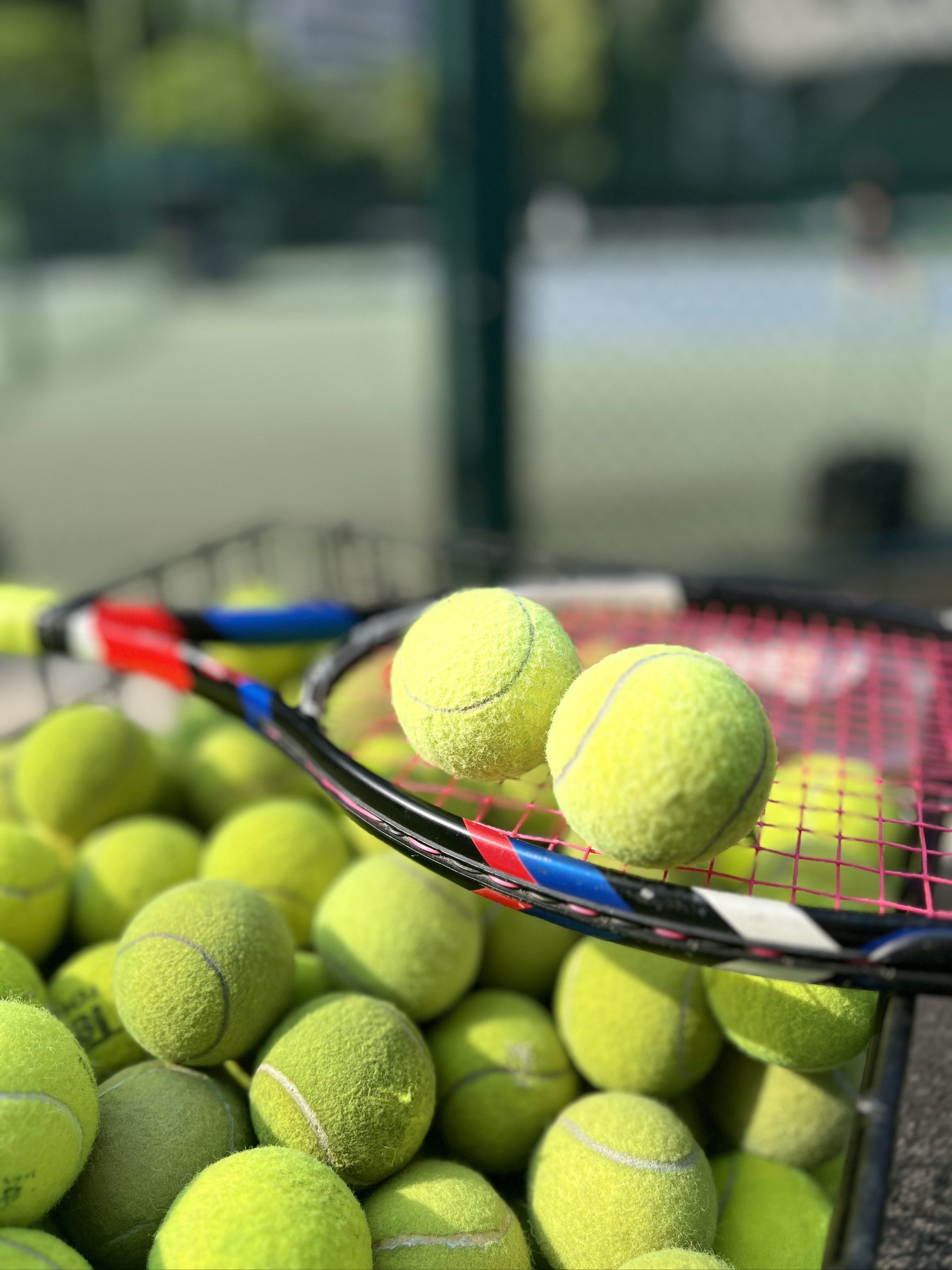 扎实的基本 扎实的基本