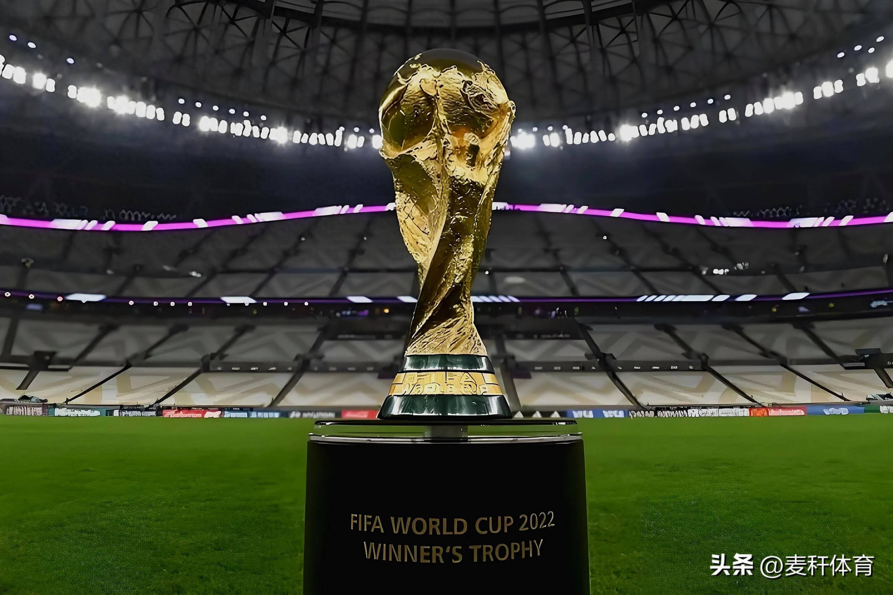 监测和反馈 监测和反馈