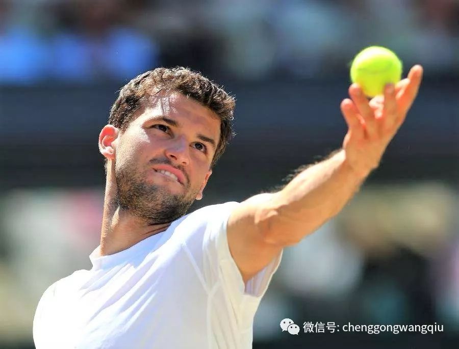 案例分析显 案例分析显